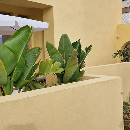 法鲁区Casa Da Acoteia公寓 外观 照片